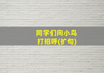 同学们向小鸟打招呼(扩句)