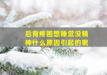 后背疼困想睡觉没精神什么原因引起的呢