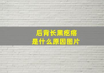 后背长黑疙瘩是什么原因图片