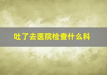 吐了去医院检查什么科