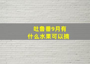 吐鲁番9月有什么水果可以摘