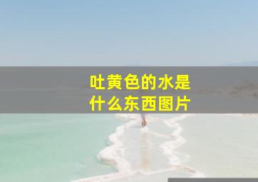 吐黄色的水是什么东西图片