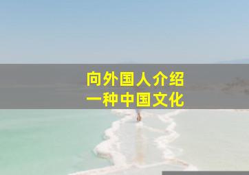 向外国人介绍一种中国文化