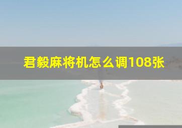 君毅麻将机怎么调108张