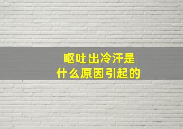 呕吐出冷汗是什么原因引起的