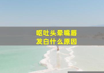 呕吐头晕嘴唇发白什么原因