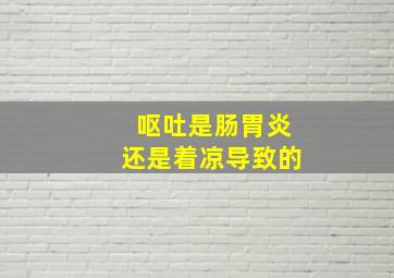 呕吐是肠胃炎还是着凉导致的