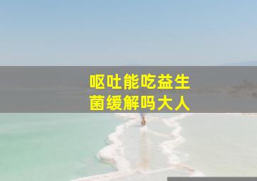 呕吐能吃益生菌缓解吗大人