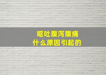 呕吐腹泻腹痛什么原因引起的