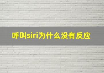 呼叫siri为什么没有反应