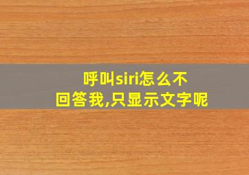 呼叫siri怎么不回答我,只显示文字呢