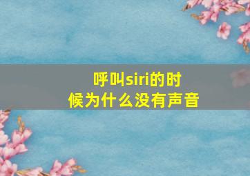 呼叫siri的时候为什么没有声音