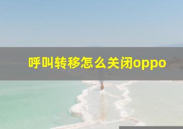 呼叫转移怎么关闭oppo