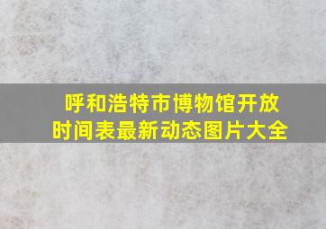 呼和浩特市博物馆开放时间表最新动态图片大全