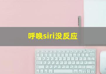 呼唤siri没反应