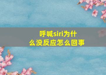 呼喊siri为什么没反应怎么回事