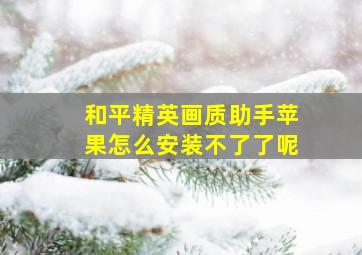 和平精英画质助手苹果怎么安装不了了呢