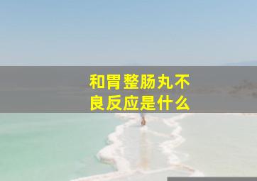 和胃整肠丸不良反应是什么