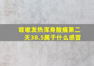 咳嗽发热浑身酸痛第二天38.5属于什么感冒