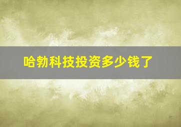 哈勃科技投资多少钱了