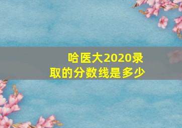 哈医大2020录取的分数线是多少