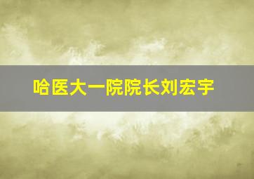 哈医大一院院长刘宏宇