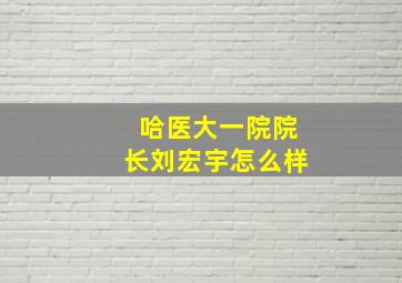 哈医大一院院长刘宏宇怎么样