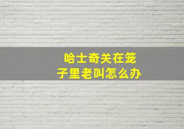 哈士奇关在笼子里老叫怎么办