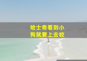 哈士奇看到小狗就要上去咬