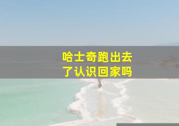 哈士奇跑出去了认识回家吗