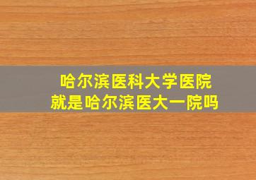 哈尔滨医科大学医院就是哈尔滨医大一院吗