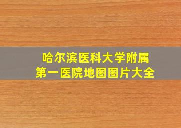 哈尔滨医科大学附属第一医院地图图片大全