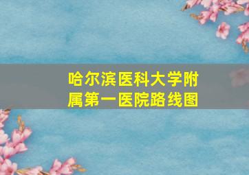 哈尔滨医科大学附属第一医院路线图