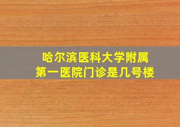 哈尔滨医科大学附属第一医院门诊是几号楼