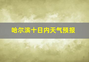 哈尔滨十日内天气预报