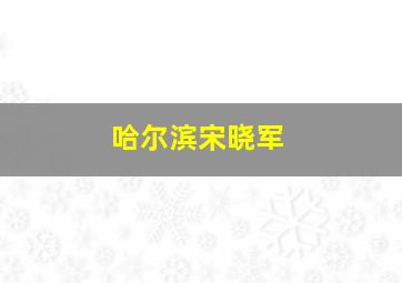 哈尔滨宋晓军