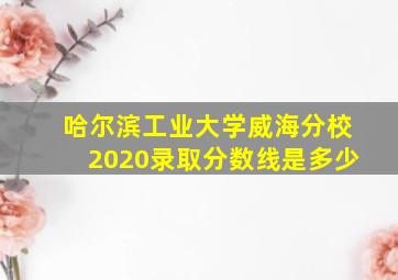 哈尔滨工业大学威海分校2020录取分数线是多少