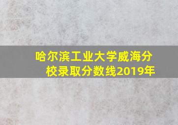 哈尔滨工业大学威海分校录取分数线2019年