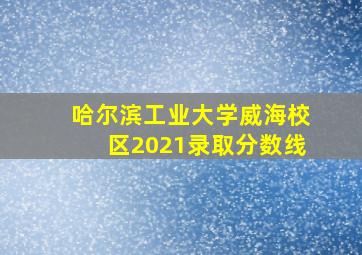 哈尔滨工业大学威海校区2021录取分数线