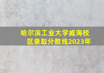 哈尔滨工业大学威海校区录取分数线2023年