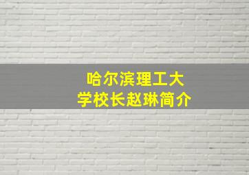 哈尔滨理工大学校长赵琳简介