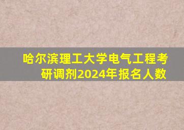 哈尔滨理工大学电气工程考研调剂2024年报名人数