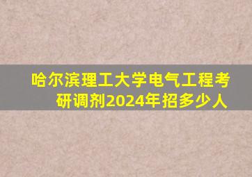 哈尔滨理工大学电气工程考研调剂2024年招多少人