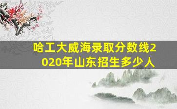 哈工大威海录取分数线2020年山东招生多少人