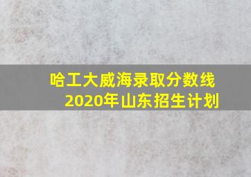 哈工大威海录取分数线2020年山东招生计划