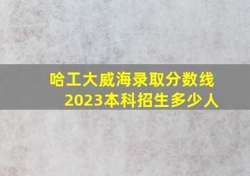 哈工大威海录取分数线2023本科招生多少人