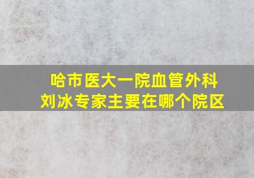 哈市医大一院血管外科刘冰专家主要在哪个院区