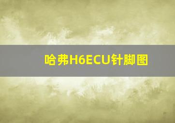 哈弗H6ECU针脚图