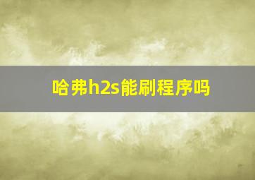 哈弗h2s能刷程序吗