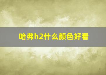 哈弗h2什么颜色好看